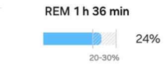 REM-Schlaf: 1 Stunde 36 Minuten (24 %), Normalbereich 20–30 %